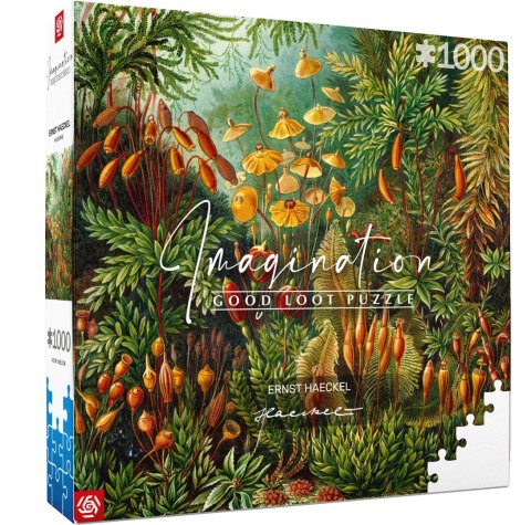 Good Loot Good Loot Puzzle: Imagination - Ernst Haeckel - Muscinae (1000 elementów)