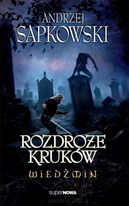 Wiedźmin 9 - Rozdroże kruków